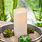 Solar Candle Lights Outdoor