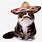 Sombrero Cat Meme