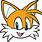 Sonic/Tails Face