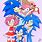 Sonic Amy Family