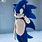 Sonic Cosplay Costume