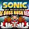 Sonic Rush Final Boss