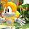 Sonic and Tails Games