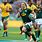 South Africa vs Australia Rugby