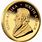 South African Gold Coins