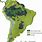 South America Vegetation