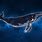 Space Whale Wallpaper