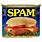 Spam Meat Product