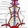 Spinal Arteries Anatomy