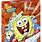 Spongebob SquarePants Season 4 DVD