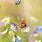 Spring Flowers Phone Wallpaper