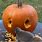 Squirrel Pumpkin Carving