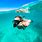 St. Lucia Snorkeling