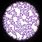Staphylococcus Aureus Microscope