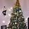 Steelers Christmas Tree