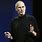 Steve Jobs Skivvy