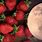 Strawberry Moon Tonight
