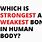 Strongest Bone in Human Body