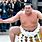 Sumo Wrestling Images