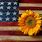 Sunflower American Flag