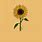 Sunflower Drawing Desktop Wallpaper