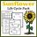 Sunflower Life Cycle Worksheet