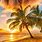 Sunset Palm Tree Beach Scene