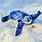 Super Cute Baby Sea Turtle
