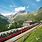 Swiss Alps Train Tour