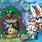 Sword and Shield Starters Final Evolutions