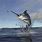 Swordfish Jumping Out of Water