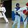 Tae Kwon Do vs Karate