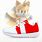 Tails Shoes Sonic