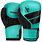 Teal Boxing Gloves
