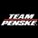 Team Penske Wallpaper