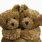 Teddy Bear Cuddle