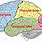 Temporal Lobe Brain Anatomy