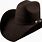 Texana Cowboy Hat
