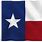 Texas Flag On Turrtles