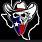 Texas Outlaws Logo