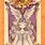 The Nothing Clow Card