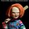 The Real Chucky Doll
