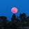 The Strawberry Moon