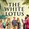 The White Lotus Movie
