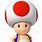 Toad Hat 2D