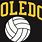 Toledo Volleyball Jersey