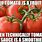 Tomato/Tomato Meme