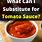 Tomato Sauce Substitute