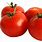 Tomatoes White Background