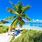 Top Beaches Florida Keys